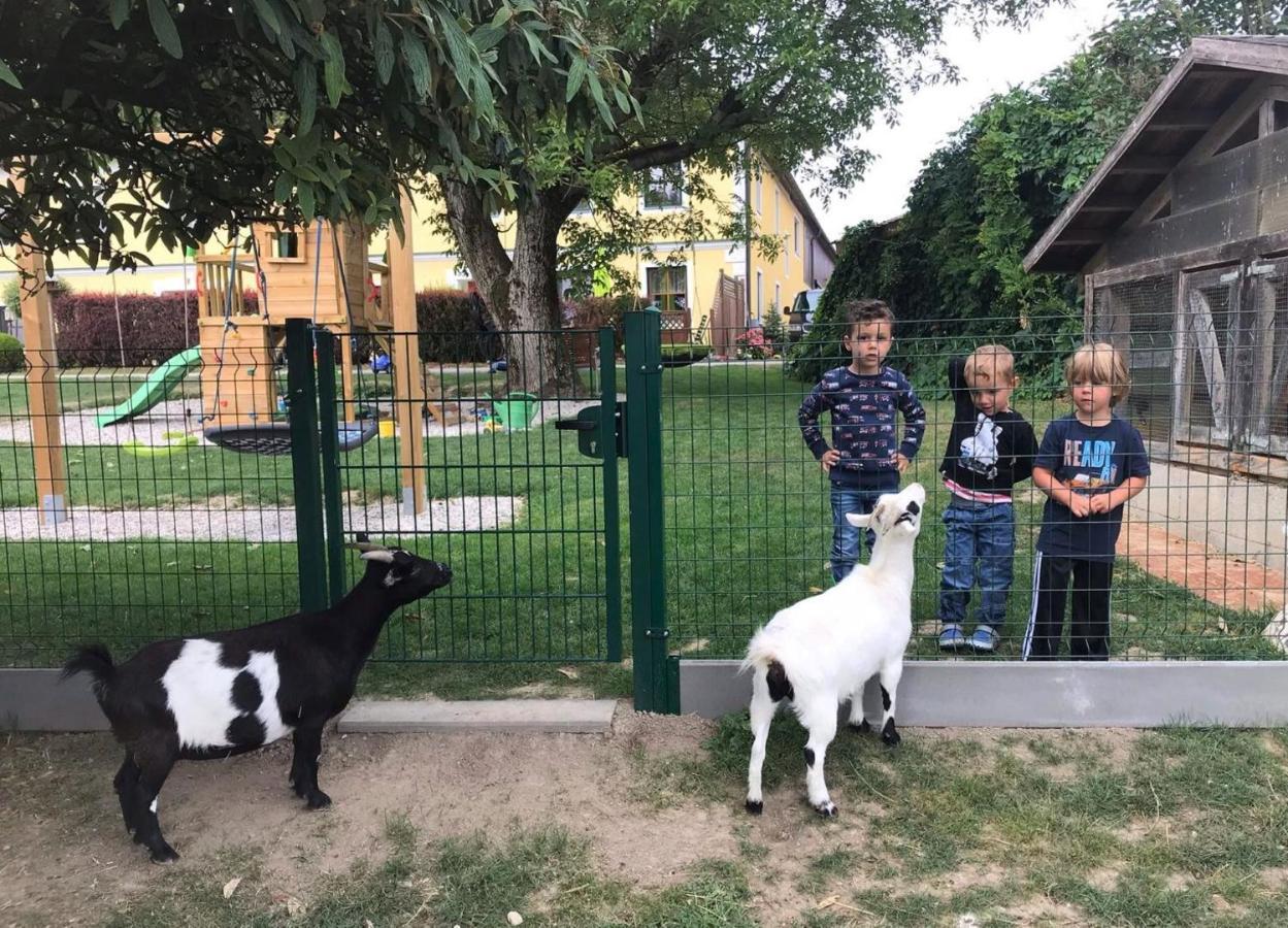 Villa Familienbauernhof Strassbauer Steinakirchen Am Forst Esterno foto