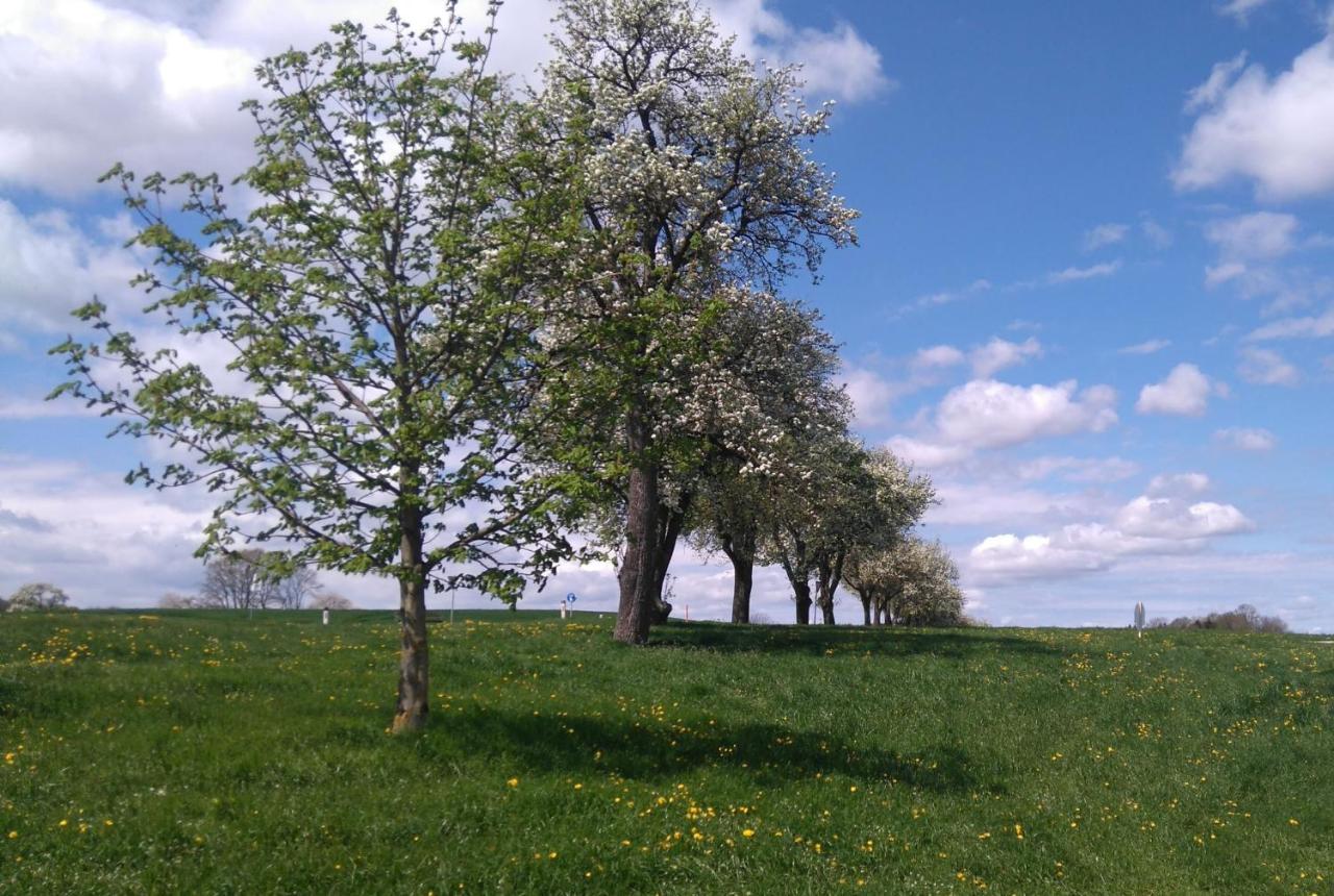 Villa Familienbauernhof Strassbauer Steinakirchen Am Forst Esterno foto